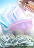 foreign exchange program