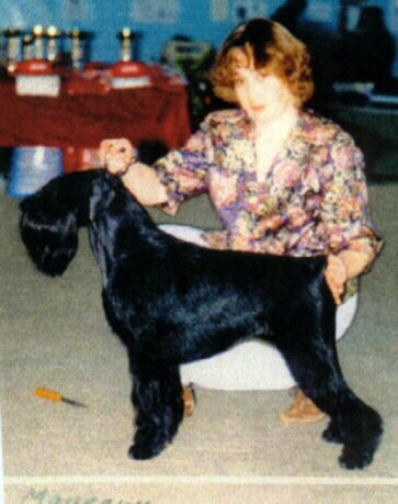 Ch. res. World winner URSA z HOFJARU, fena je v Rusku.