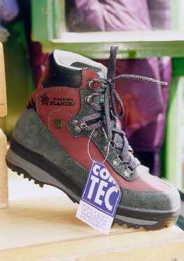 bota
