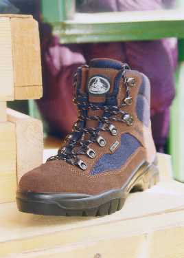 bota