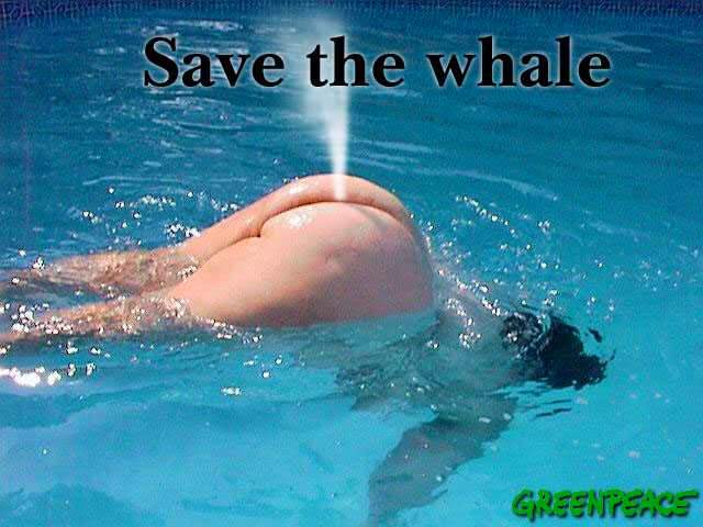 kdo zachrn 
velrybu?