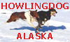 Howling Dog Alaska