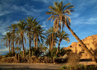 Ouadne, Mauritania. Photo by Gregg Butensky at www.madnomad.com.