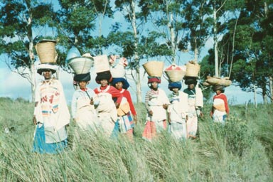 Eastern Cape, 1990. These Xhosa women in traditional dress were walking along the road near Wiazeppa Bay. A familiar sight in Transkei. Photo by Nancy Adam.