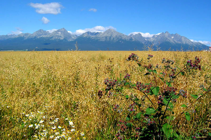 High Tatras. Photo by CHAY Raphael at www.trekearth.com.