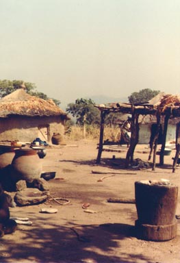 A Foulani family compound. The Foulani are cattle herdsmen and nomads, and were the people to see for fresh milk and Foulani cheese. Note the woman walking near one of the mud huts. Photo by Steven Barrigar.