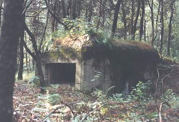 Lehk objekt pro pmou palbu v lese vchodn od ulice G. Zapolskiej