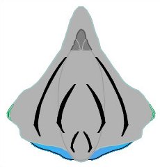 tda TALON